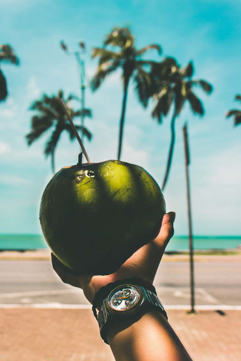 ponta verde selective focus photography of person holding coconut coconut